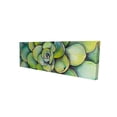 thumbnail image 1 of Plante Succulente Aquarelle - Toile 16"x48 Pouces - Impression sur Demande, 1 of 5