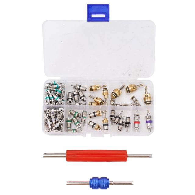 BUYISI 102Pcs R134A Car A/C Air Conditioning Valve Cores Tool Kit Fit For 1/4\" 5/16\" Service Ports to Remove and Install the Valve Core