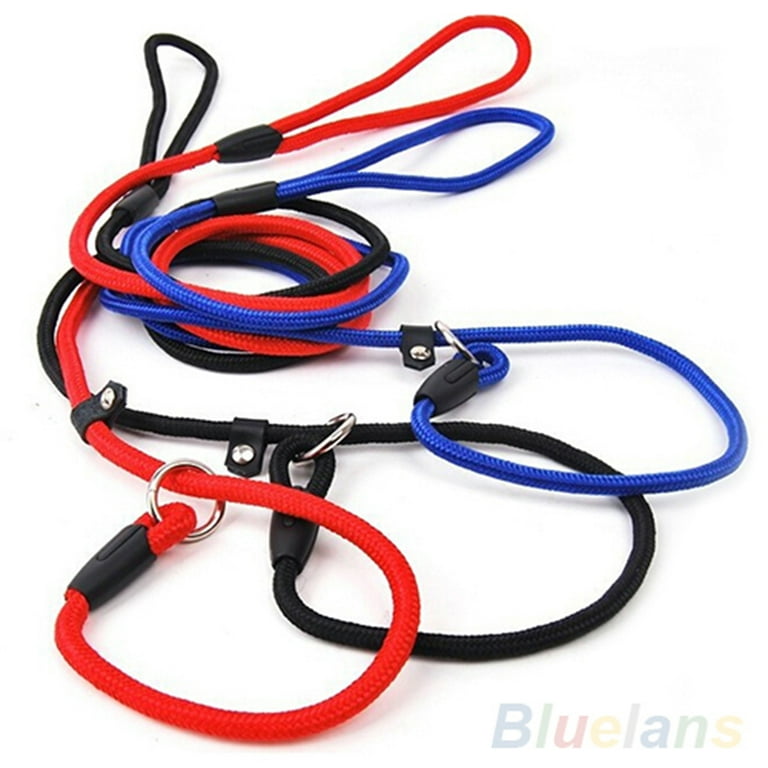 Nylon slip leads for deals dogs