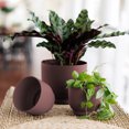 thumbnail image 2 of Bloem Enzo 4" Plastic Round Decorative Planter, Merlot, 6-Pack, 2 of 7