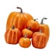 thumbnail image 4 of Calabazas Artificiales Perfecl 7 Piezas Varios Tamaños Espuma Decoración Otoño Halloween Naranja Intenso, 4 of 8