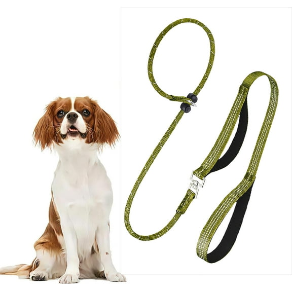Slip Lead Dog Leash with Double Handles | Reflective Dog Training Lead with 360° Swivel Anti-Tangle | Heavy-Duty Leash and Collar for Large Medium and Small Dogs No-Pull Walking