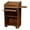 Oak, variant on Oklahoma Sound Aristocrat Floor Sound Lecterns