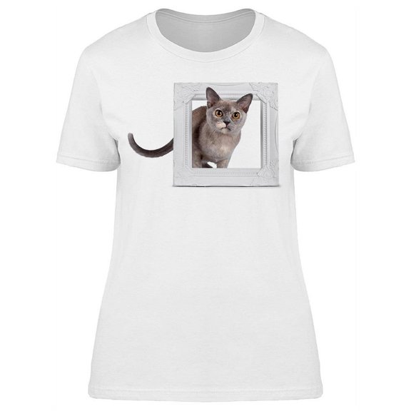 Cute Cat Looking Trough A Frame T-Shirt Women -Image by Shutterstock, Female x-Large