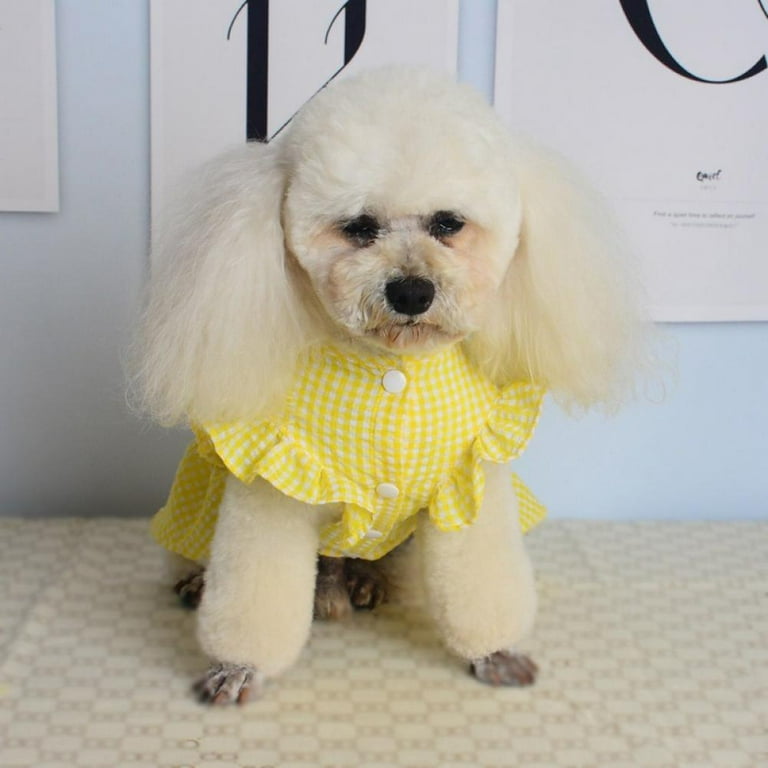 Dog Dress Summer Pet Clothes Female Dog Clothing Princess Skirt