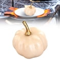 thumbnail image 2 of Mini Fall Pumpkin Decor,Artificial Pumpkins,Mini Vintage Pumpkin Harvest Lifelike Pumpkin,Fake Foam Pumpkin for Fall Autumn Halloween Home Party Supply Thanksgiving House Kitchen Decor, 2 of 6