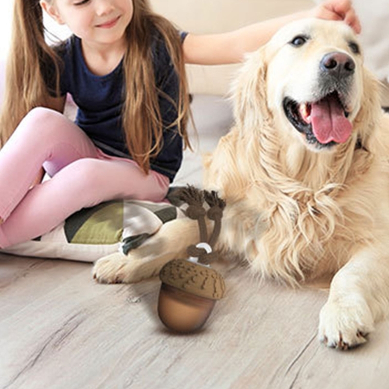 Auto Bouncing Pet Toy With Noise Maker ABS Indoor Outdoor Use For Puppy Exercise