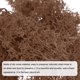 thumbnail image 4 of Uxcell 3.5 OZ Musgo Falso Musgo Artificial Musgo Natural Conservado para Proyectos de Arte Floral DIY (Café), 4 of 7