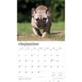 thumbnail image 4 of For the Love of French Bulldogs | 2026 14x24" Deluxe Wall Calendar | Plastic-Free, 4 of 9