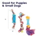 thumbnail image 5 of Pack de Juguetes Dentales para Mascotas Petstages Mini, 5 of 9