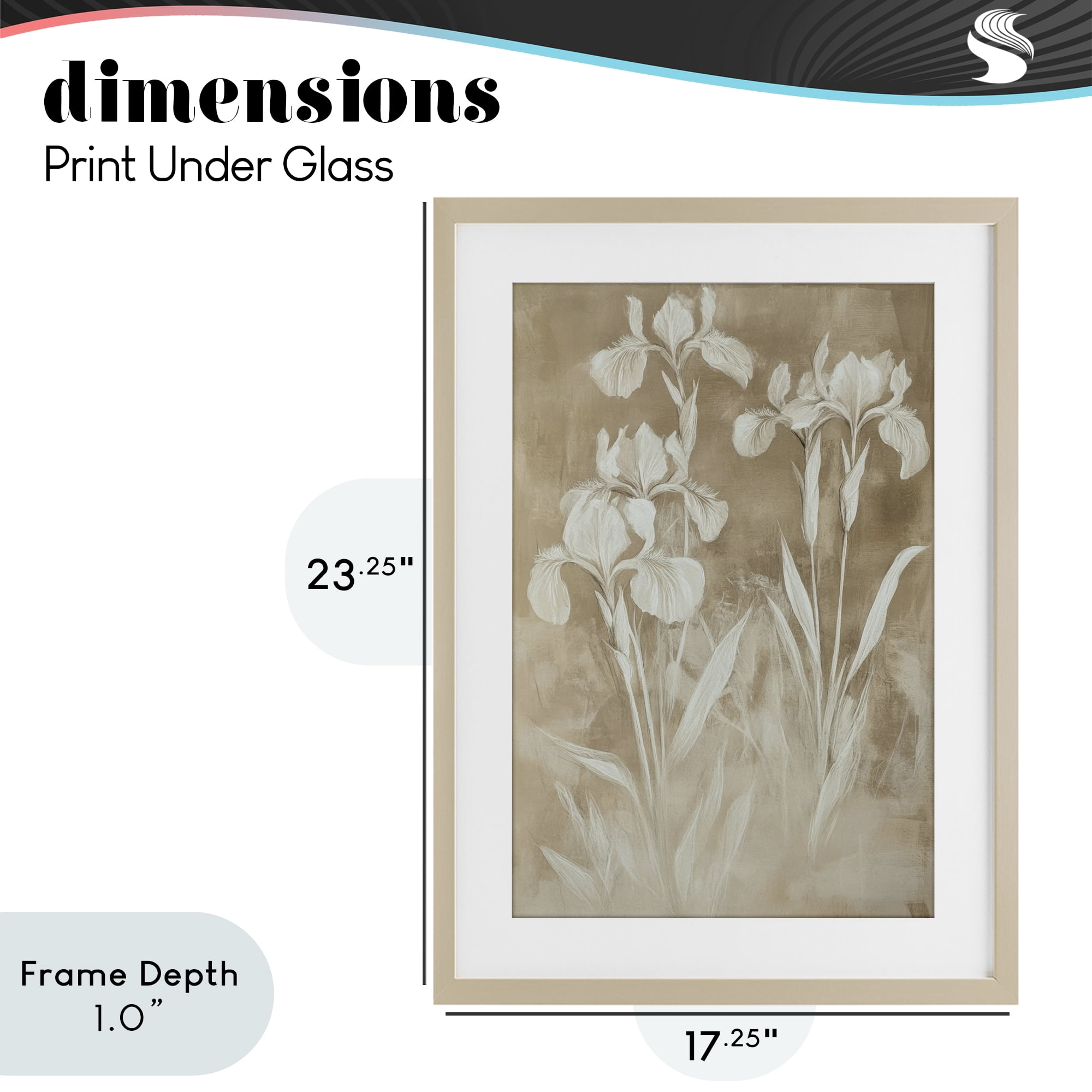 Stupell Industries Neutral Iris Botanical Study Birch Framed Print Under Glass, design by Petal Prints Design