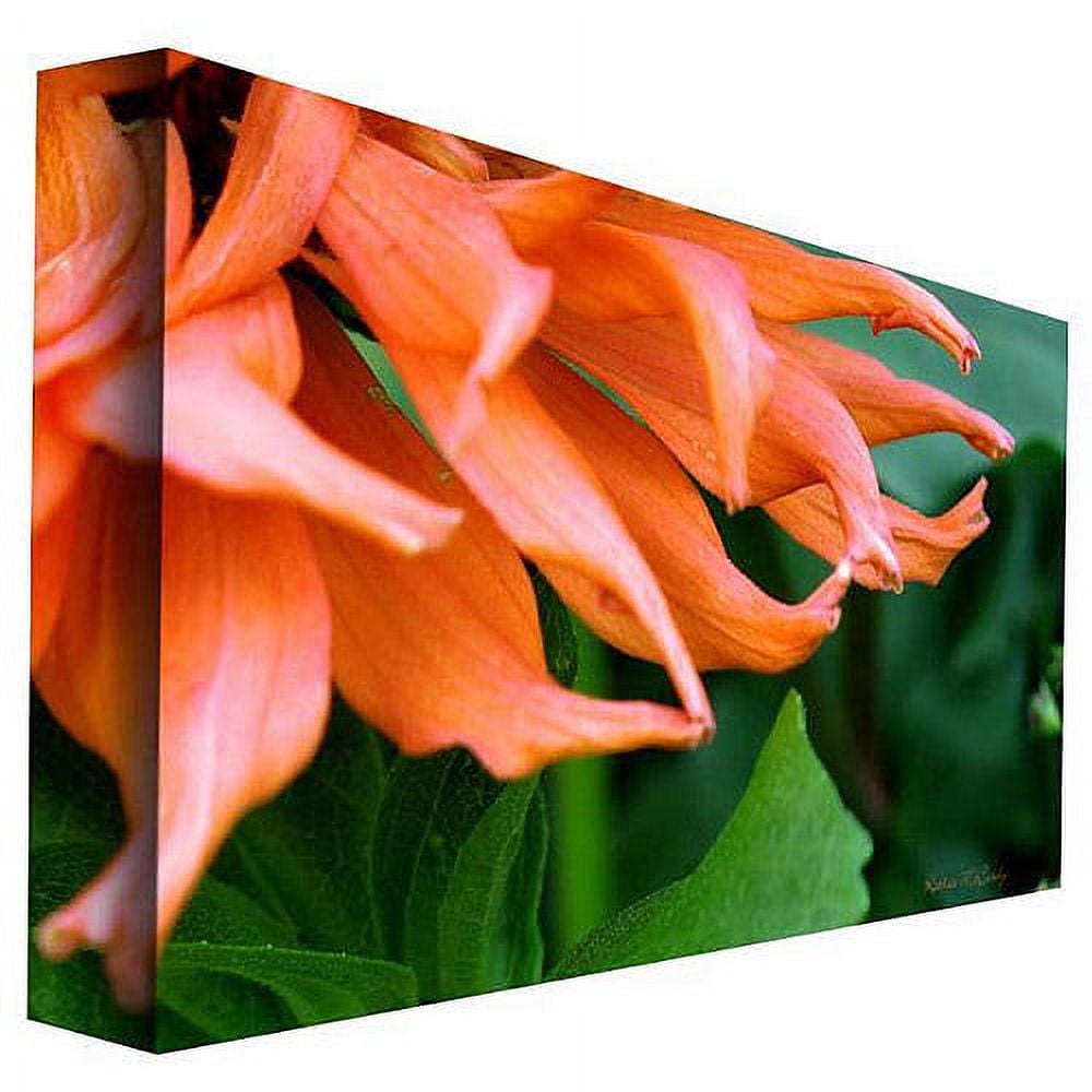 Trademark Art "Big Zinnia" Canvas Art by Kathie McCurdy