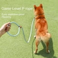 thumbnail image 5 of Correa para perros Correas para perros pequeños, medianos y grandes Collares para perros Arneses Correa para cachorros Correa duradera para mascotas Pitbull Cuerda de tracción explosiva, 5 of 5