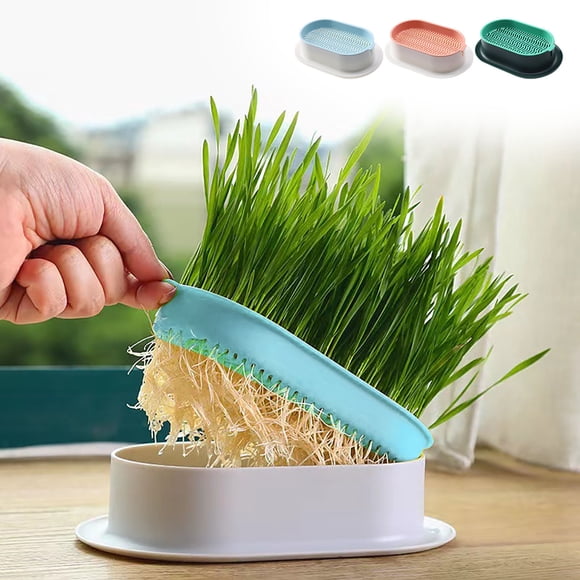 Hydroponic Growing Kit under $5! CQCYD Hydroponic Planting Box, Soilless Grass Grow Kit for Cat Mint, Layered Water Tray for Indoor Gardening, Fresh Grass Cultivation Pot