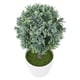 thumbnail image 3 of Planta esférica falsa para decoración de ventanas de interior, plantas artificiales de plástico en maceta para escritorio., 3 of 6