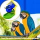 thumbnail image 1 of Divertida fuga de comida tren loro espejo mascota pájaro juguete color aleatorio (casa), 1 of 5