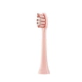 thumbnail image 1 of Feltree New High-looking Toothbrush Replacement Head, 1 of 6