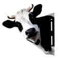 thumbnail image 3 of deevoka Animal Heads Art Sculpture Collectible Art Statue Rustic Wall Sculpture for Wall Cow, 3 of 9
