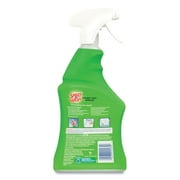 2PC SPRAY ‘n WASH Stain Remover, 22 oz Spray Bottle