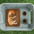 thumbnail image 4 of Dextrus Large Dog House Outdoor Plastic Doghouse Water Resistant Pet House with Adjustable Skylight and Elevated Base for Small, Medium, and Large Dogs, 4 of 9