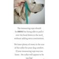 thumbnail image 4 of Gabrielene Designs Sturdy Fashion Dog Collar, X\S, Small, 1 Piece, 4 of 4