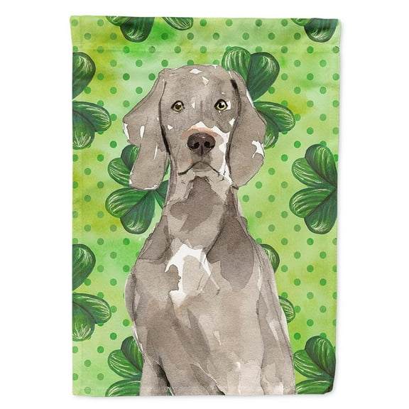 Shamrocks Weimaraner Flag Canvas House Size