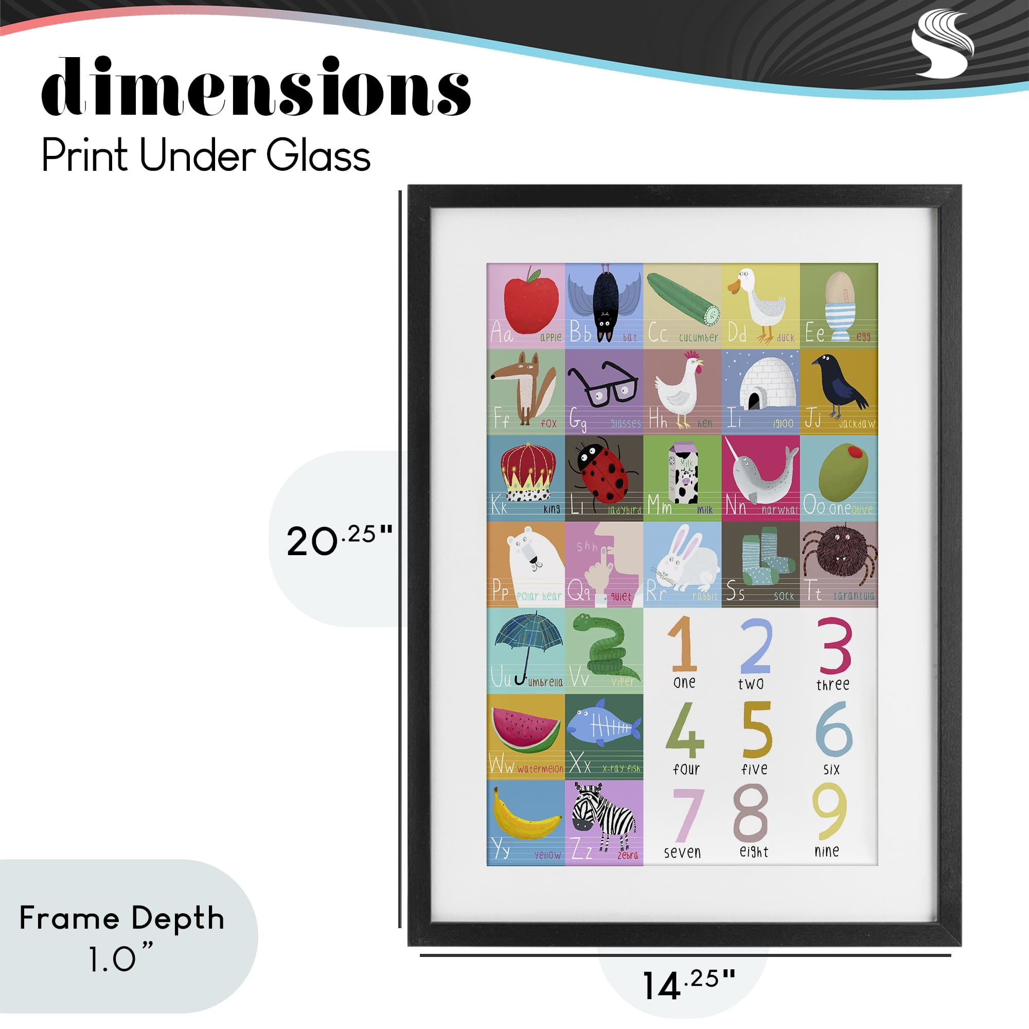 Stupell Industries Counting & Alphabet Learning Black Framed Print Under Glass, design by Carla Daly