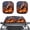 Bald Eagle Flag Fire Print, variant on Pzuqiu Car Windshield Sun Shade with Blue Lightning Skull, Two Piece Set for Vehicle Sun Protection and Interior Cooling