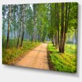 thumbnail image 2 of Road in Green Morning Forest, 2 of 3