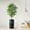 Ficus Tree, variant on PixonSign 4ft Artificial Trees Bird of Paradise with Snowflakes & Reindeers Illustration Vase Modern Indoor Silk Floor Fake Plant Christmas Decoration for Home or Office