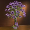 thumbnail image 2 of Nearly Natural 28,5 Pouces Tige Cosmos, Violet, 12 Pcs, 2 of 3