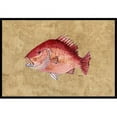 thumbnail image 1 of Carolines Treasures 8812MAT 18 x 27 In. Strawberry Snapper Indoor or Outdoor Mat, 1 of 4
