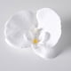 thumbnail image 1 of Nvzi 20 piezas de flores de mariposa artificiales de seda para decoración de bodas, ramos y fiestas, 4,33 pulgadas, color blanco, 1 of 5