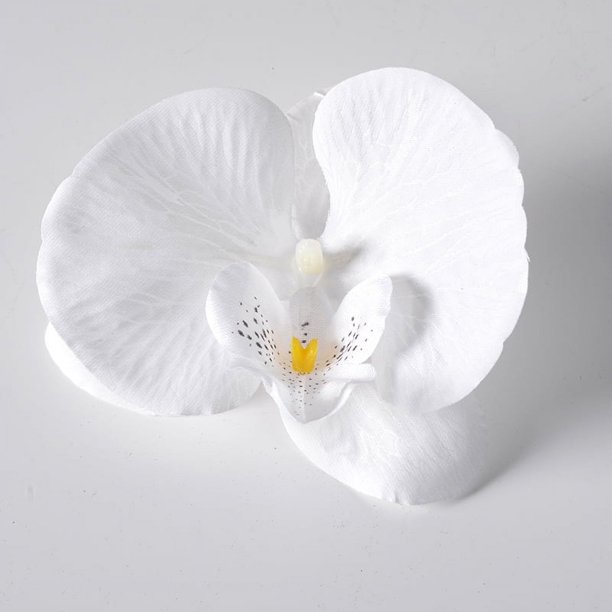 Nvzi 20 piezas de flores de mariposa artificiales de seda para decoración de bodas, ramos y fiestas, 4,33 pulgadas, color blanco
