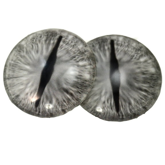 Silver Dragon Glass Eyes