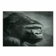 thumbnail image 1 of Gorilla Cutting Board, Close up Shot Portrait of an Orangutan in Greyscale Tones, Decorative Tempered Glass Cutting and Serving Board, in 3 Sizes, by Ambesonne, 1 of 2