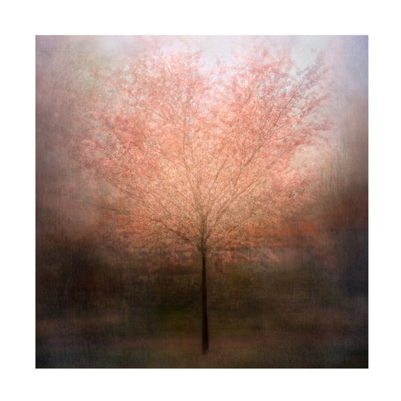 Canvas Wall Art - Delphine Devos 'Dream Come True' Wall Art for Living Room, Bedroom, or Office Décor by Trademark Fine Art - 14 x 14 Inches