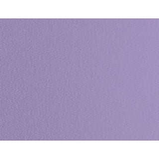 Stichting Nidos  Pen + Gear Color Copy Paper PURPLE 20 lb 100 Sheets For  Any Inkjet/Laser Printer