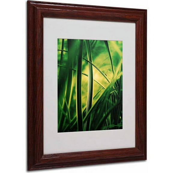 Trademark Fine Art "Miniature" Canvas Art by Philippe Sainte-Laudy, Wood Frame