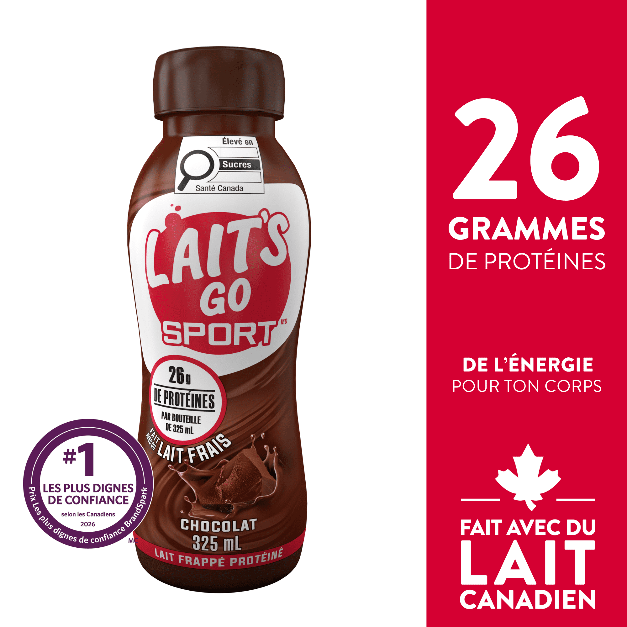 Boisson de protéine du lait au chocolat Lait's Go Sport