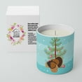 thumbnail image 2 of Carolines Treasures BB9353CDL 3.75 x 3.25 in. Unisex Bronze Turkey Christmas 10 oz Decorative Soy Candle, Teal, 2 of 5