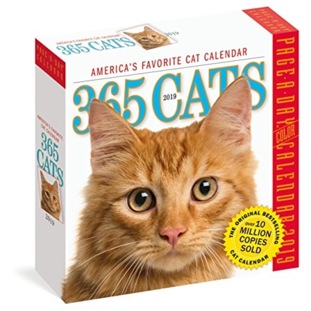 365 cats pageaday calendar 2019