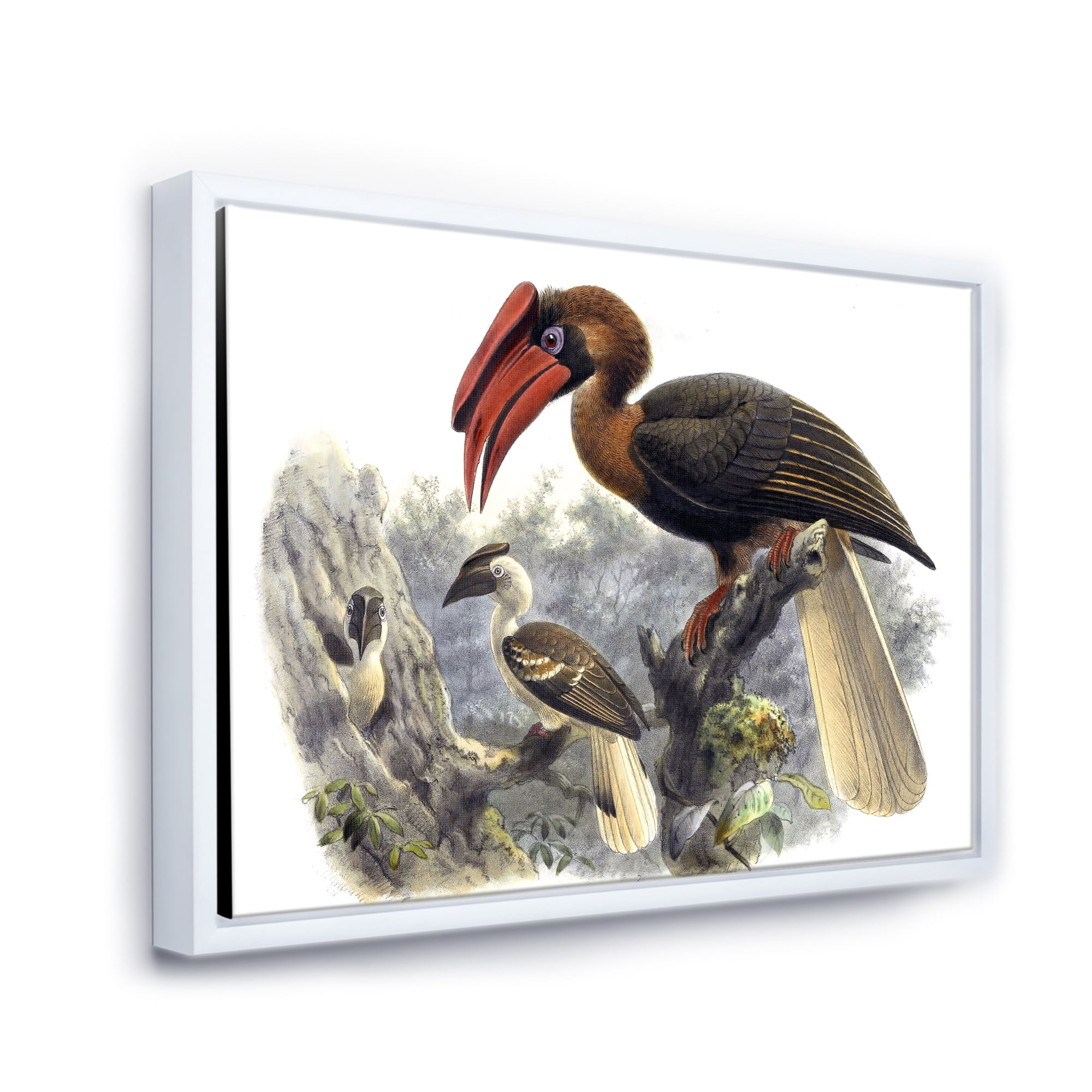 Designart 'Ancient Australian Birds XI' Traditional Framed Canvas Wall Art Print