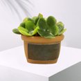 thumbnail image 4 of Casa de muñecas Sunnimix Resina Mini Bonsai Suministros de Paisaje Estilo D, 4 of 7