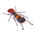 thumbnail image 5 of De Kulture Works Iron Ant Wall Mount Decorative Collectible Sculpture Showpiece, 5 of 7