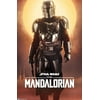 Star Wars: The Mandalorian - Mandalorian Wall Poster, 14.725" x 22.375"