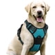 thumbnail image 1 of Arnés para perros Rabbitgoo, sin tirones, ajustable, verde azulado, para perros grandes, 1 of 8