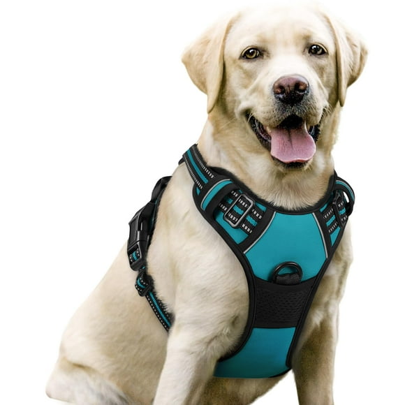Arnés para perros Rabbitgoo, sin tirones, ajustable, verde azulado, para perros grandes