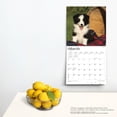 thumbnail image 4 of Border Collie Puppies | 2024 12x24" (Hanging) Wall Calendar | BrownTrout, 4 of 8