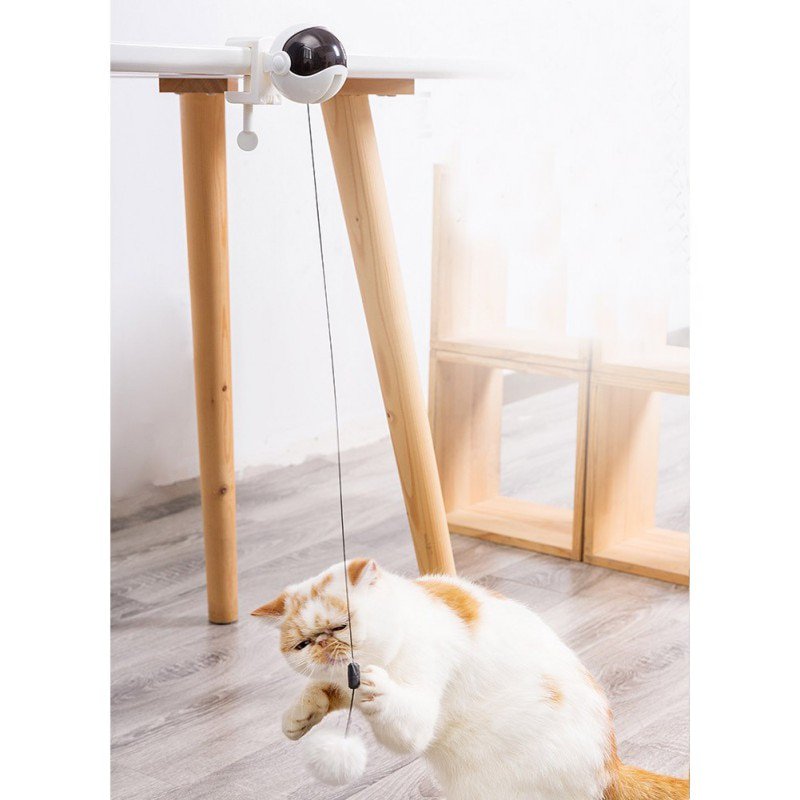 electronic motion cat toy